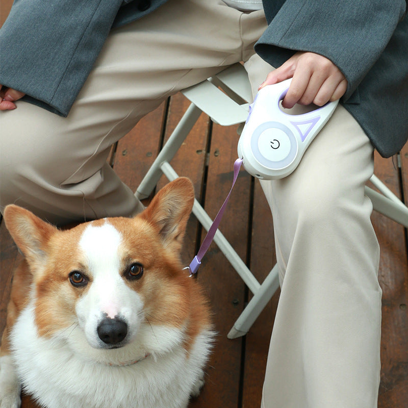 Fantastic Dog Leash with Built-in Spotlight For Extra Safety